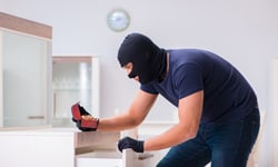 Theft and Property Crimes Photo